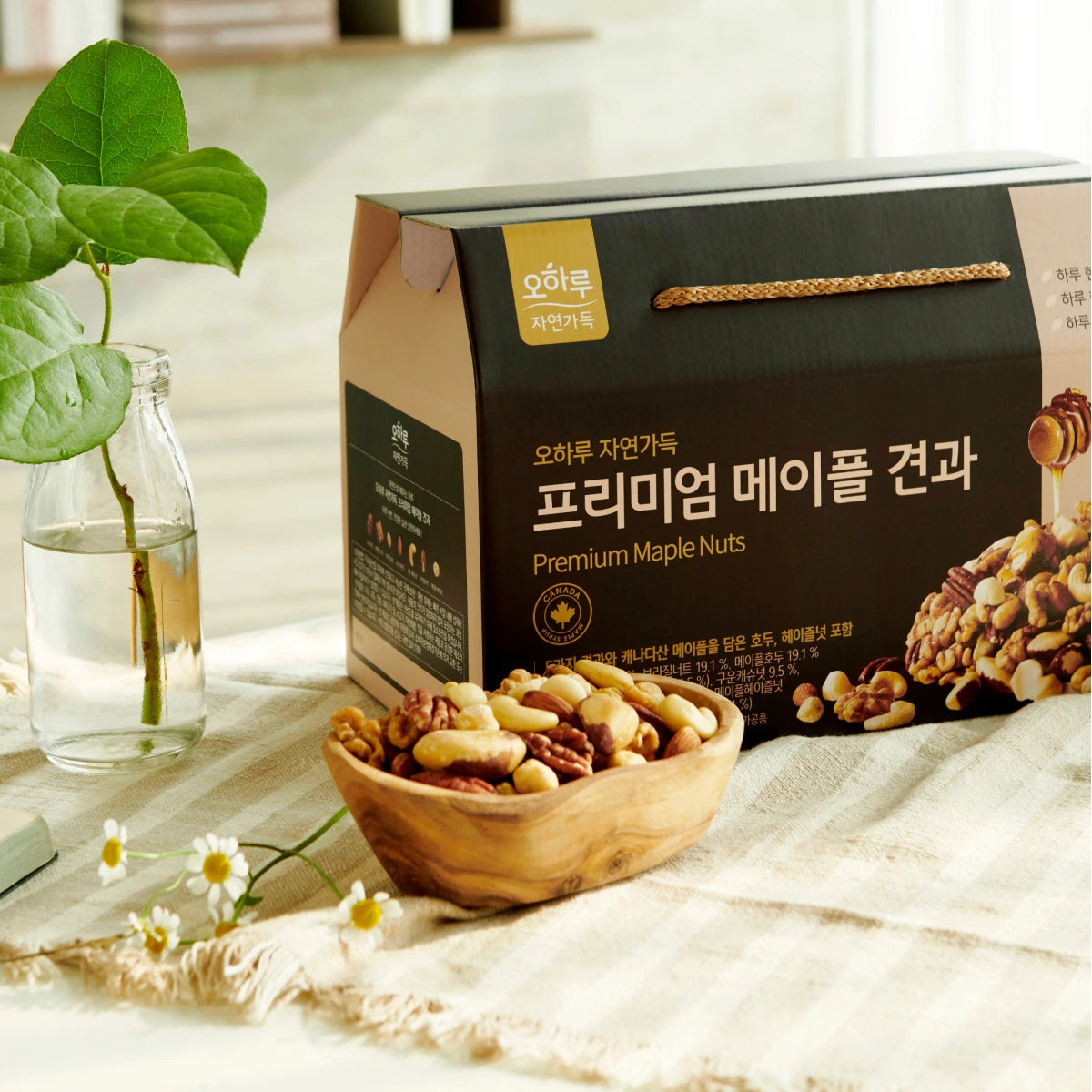 Oharu Premium Maple Nuts (1 Box, 20 Packs)