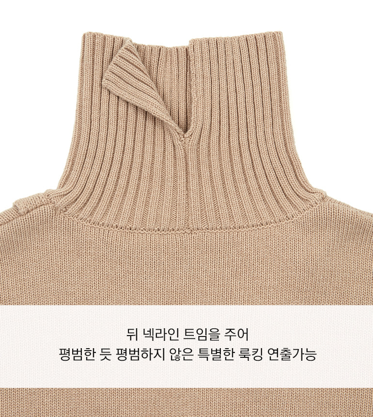 Celebshop Edition Slanted Slit Turtle neck Knit