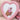 POUCH24 CCC PINK 4ea + CCC ORBIT 1ea & Ha Ji-won Special Gift