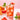 Damtuh BT Kombucha Grapefruit (10 Sticks)