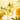 Damtuh BT Kombucha Lemon (10 Sticks)