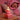 DDPX Seoul Hatch Gift Scented Candle
