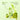Liveling Pineapple Cider Vinegar Jelly Stick Plum (20 g × 10 pcs)