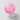 POUCH24 CCC PINK 4ea + CCC ORBIT 1ea & Ha Ji-won Special Gift