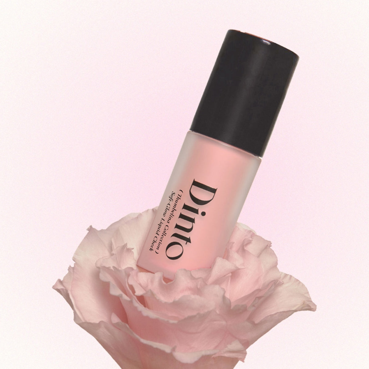 Dinto (Thumbelina Collection) Soft-Glow Liquid Cheek