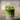YOUNG LONG Triple Leaftea Matcha Collagen 200g