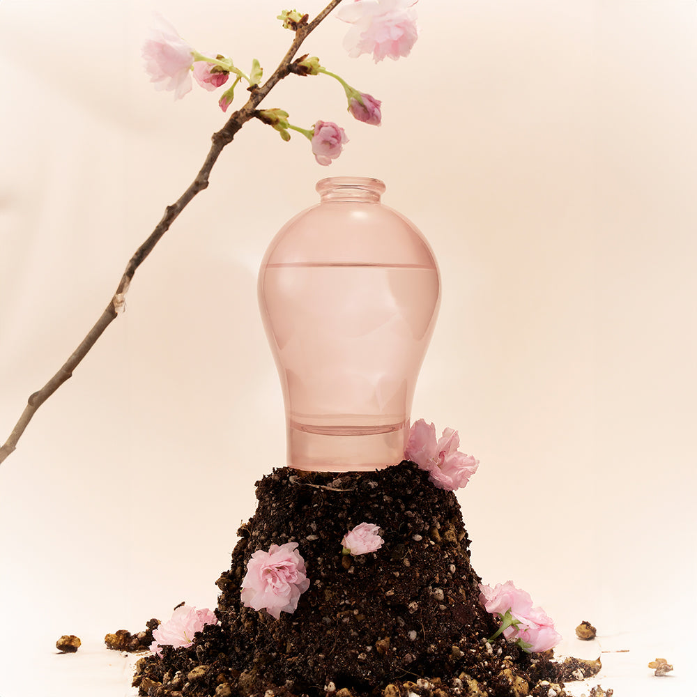 Taylor Scents Glass Pruns Vase - Moon/Cherry Blossom