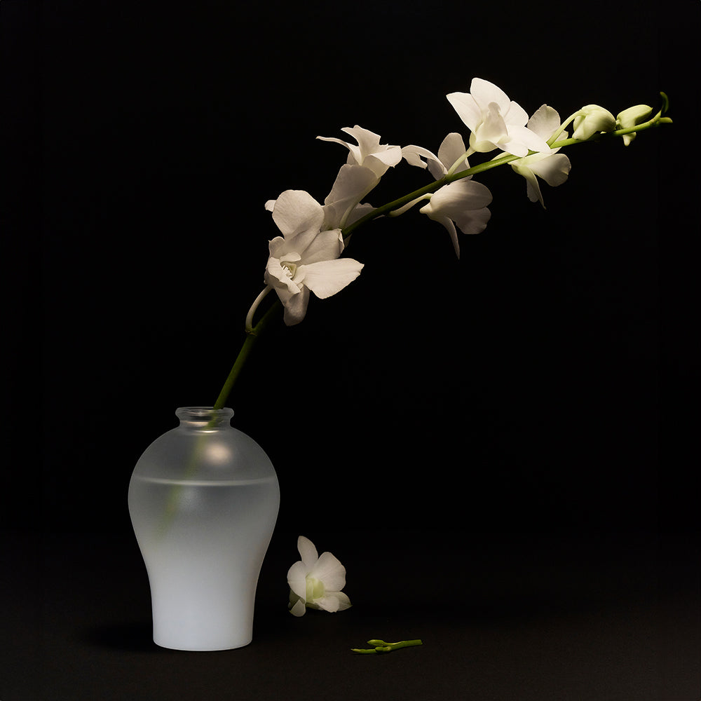 Taylor Scents Glass Pruns Vase - Moon/Cherry Blossom