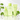 Papa Recipe Cica Barrier Recovery Trio (Real Centella Cica Soothing Toner 150 ml+Real Centella Cica Soothing Toner 150 ml+Real Centella Cica Intensive Cream 50 ml)