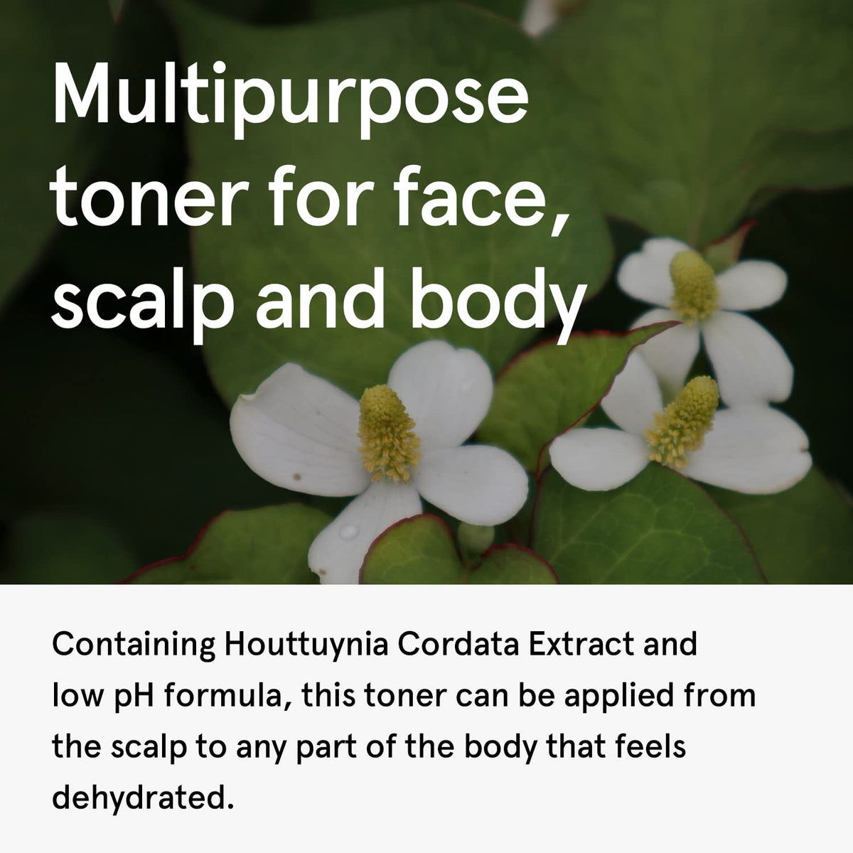 ONE THING Houttuynia Cordata Extract 300ml