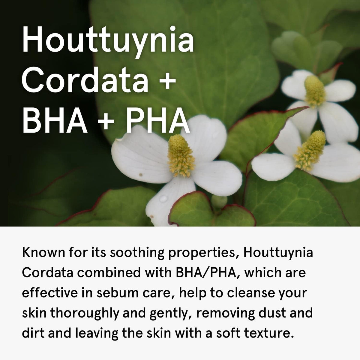 ONE THING Houttuynia Cordata Clarifying Facial Cleanser 150ml