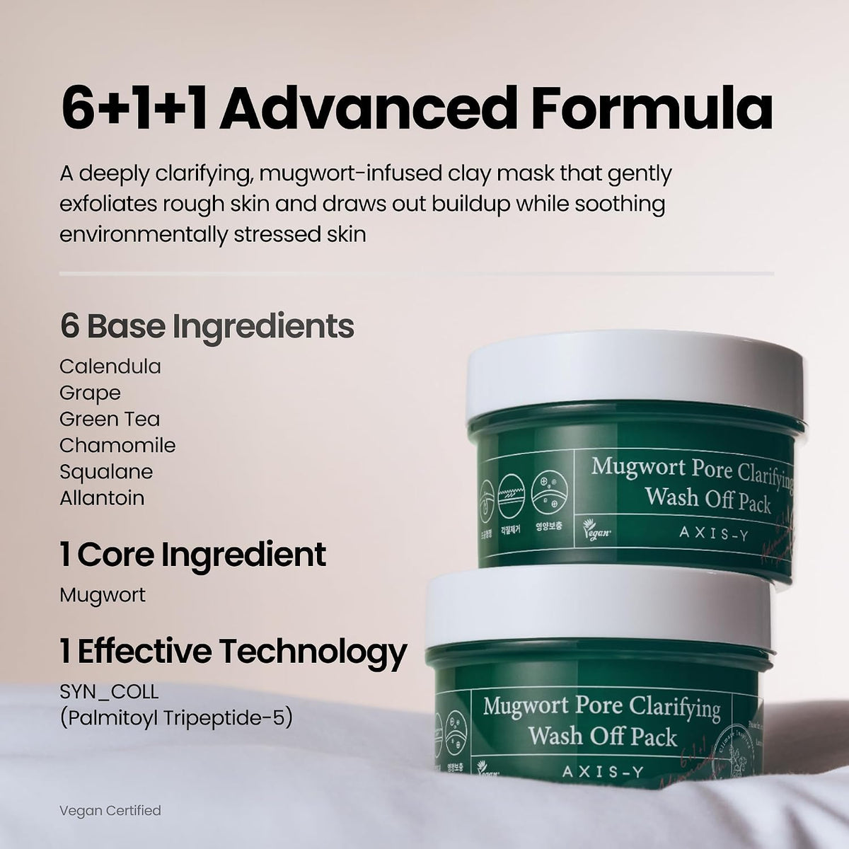 AXIS-Y Mugwort Pore Clarifying Wash Off Pack 100 ml