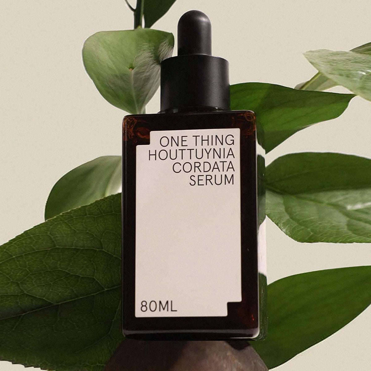 ONE THING Houttuynia Cordata Serum 80ml