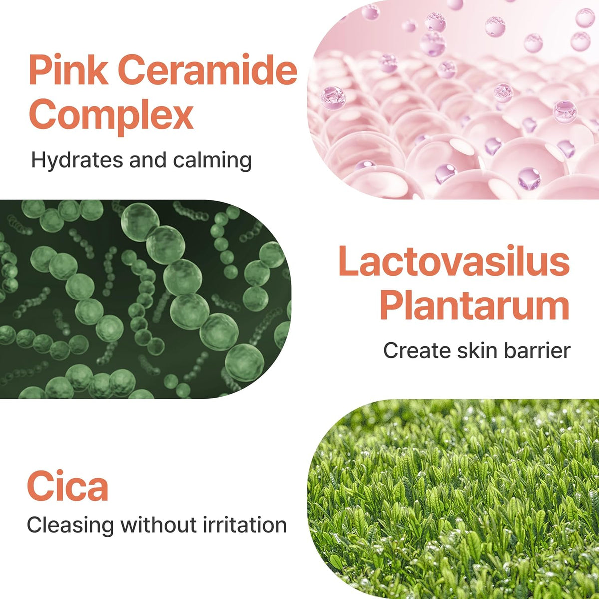 Dr.Bio Double Layering Cleansing Water 480 g