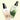 motomont Matcha Calm & Rice Dewy Facial Mist Duo